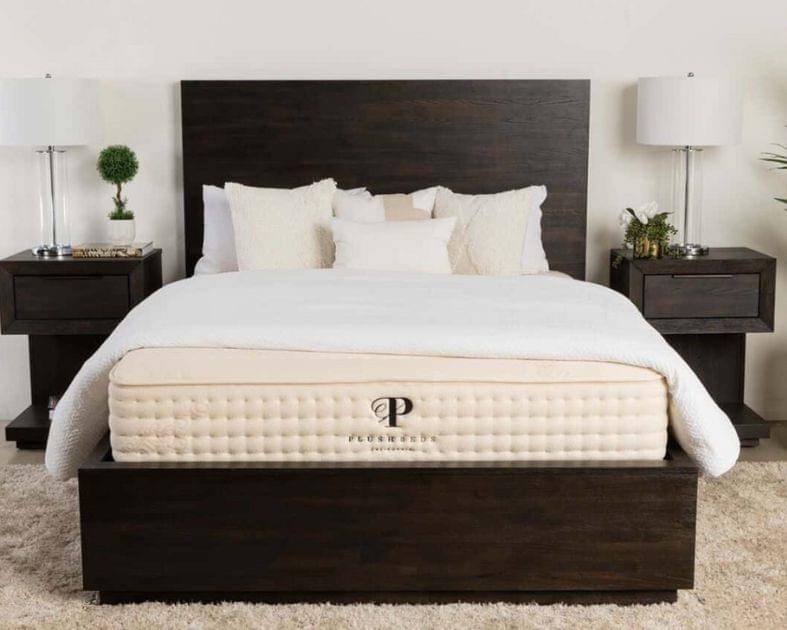 plushbeds botanicall bliss is best overall mattress 2023