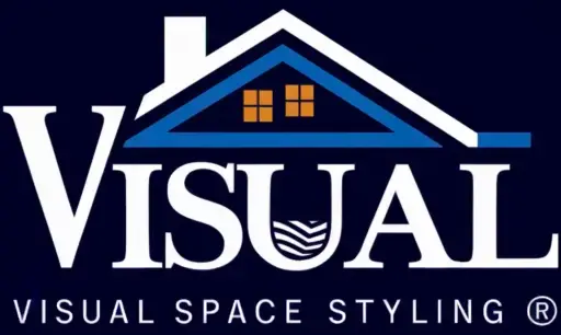 visual space styling logo
